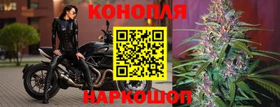 прущие грибы Дубна