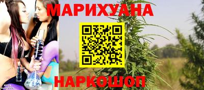 прущие грибы Дубна