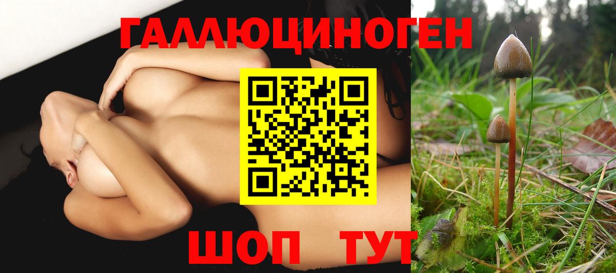 Псилоцибиновые грибы Magic Shrooms  Галлюциногенные грибы Psilocybine cubensis  Новоалтайск  где найти   Вход с VPN 